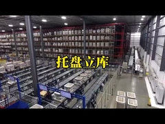 최대 3500kg 팔레트 자동 래킹 시스템 AS-RS 더블 컬럼 스택
