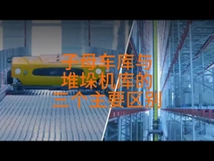 최대 3500kg 팔레트 자동 래킹 시스템 AS-RS 더블 컬럼 스택