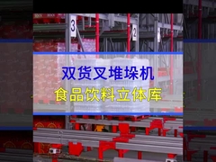 최대 3500kg 팔레트 자동 래킹 시스템 AS-RS 더블 컬럼 스택